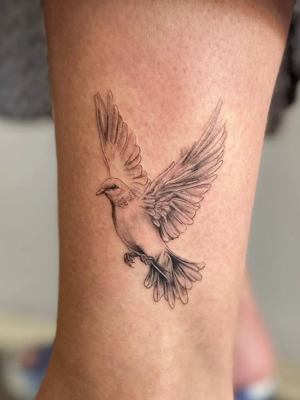 Black and grey tattoo of a dove in flight on the leg