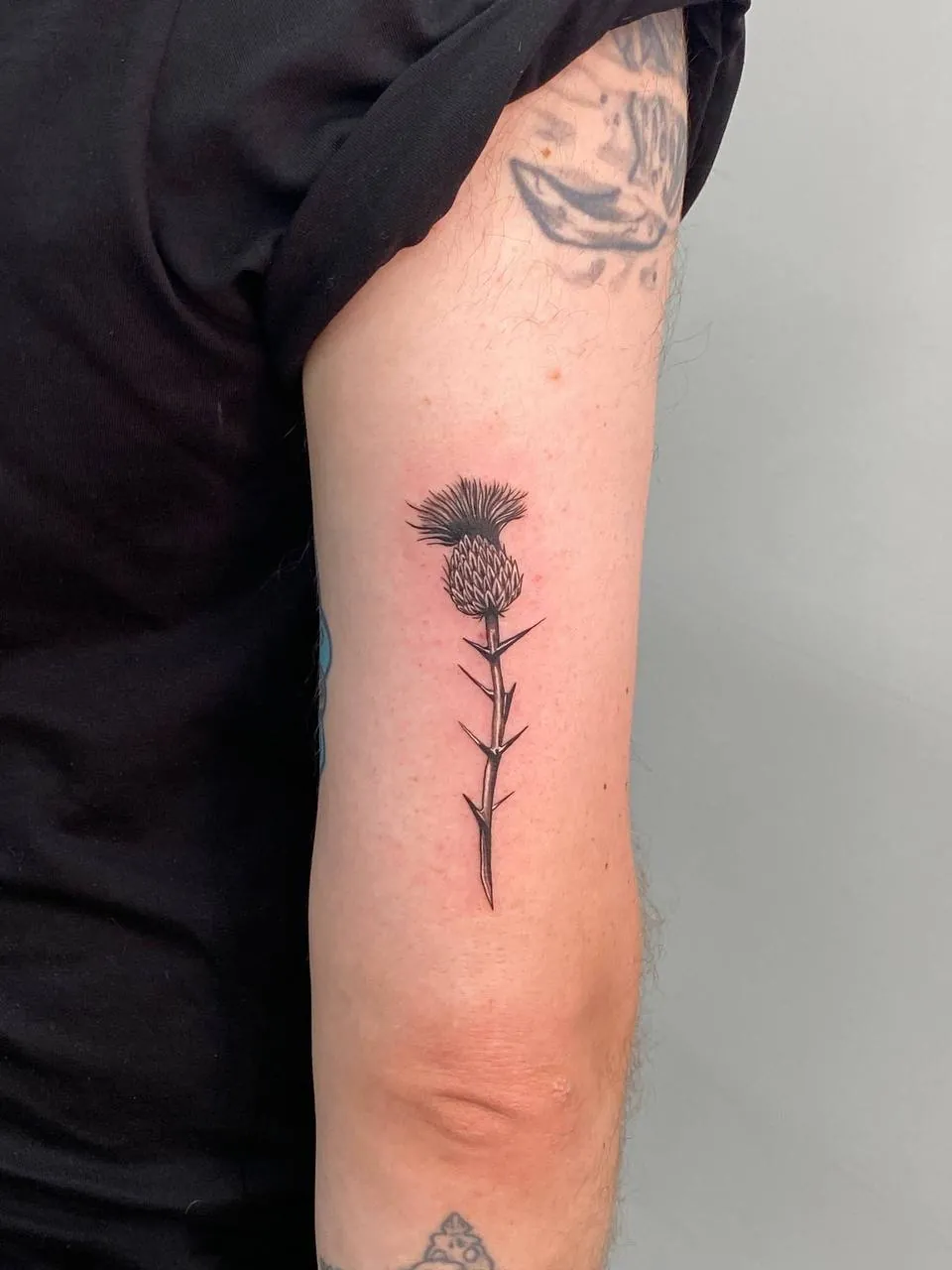 Fine-line thistle on the back of the upper arm